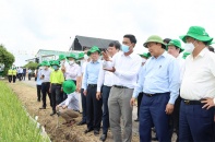 Đồng Tháp cần tiên phong phát triển kinh tế nông nghiệp vùng ĐBSCL