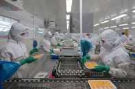 Đồng bằng sông Cửu Long có thêm 3.086 doanh nghiệp thành lập mới trong quý I/2022