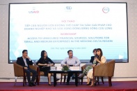 Giải pháp cho doanh nghiệp nhỏ và vừa ĐBSCL tiếp cận nguồn vốn không thế chấp tài sản