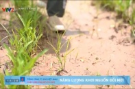 Chương trình Kinh tế xanh phát triển mô hình nông nghiệp hữu cơ tại Việt Nam 