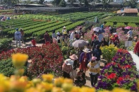 TP. Sa Đéc tổ chức Lễ hội hoa Xuân nhân 10 năm thành lập 