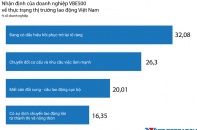 Thị trường lao động Việt Nam: Góc nhìn từ các doanh nghiệp VBE500