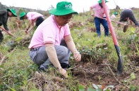 C.P. Việt Nam thực hiện “Hành trình vì một Việt Nam xanh” tại tỉnh Thừa Thiên Huế