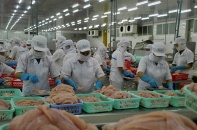Đồng Tháp tổ chức Lễ hội cá tra lần thứ I năm 2022