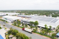 AIG tham vọng phát triển vùng nguyên liệu hữu cơ