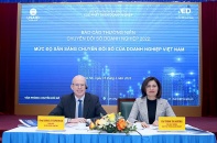 Báo cáo thường niên chuyển đổi số doanh nghiệp 2022: Chỉ có 2,2% doanh nghiệp làm chủ công nghệ