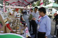 Đồng Tháp khởi sắc về kinh tế nông nghiệp
