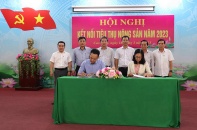 Đồng Tháp: Huyện Cao Lãnh kết nối tiêu thụ nông sản, tăng hiệu quả kinh tế