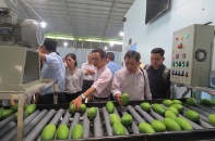 Đồng Tháp giải ngân nhanh vốn đầu tư công trình nông nghiệp, nông thôn