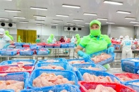 An Giang đạt mục tiêu 1,17 tỷ USD giá trị xuất khẩu năm 2023