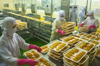 Cà Mau lập tổ công tác đặc biệt tháo gỡ khó khăn cho doanh nghiệp