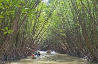 Cà Mau chọn hướng phát triển du lịch sinh thái, nghỉ dưỡng, giải trí kết hợp trải nghiệm 