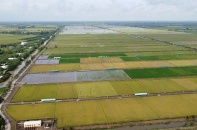 Cơ hội đổi đời cho hàng triệu nông dân vùng Đồng bằng sông Cửu Long