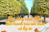 Thu vàng nước Nga: Bức tranh của sắc màu và ký ức