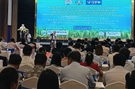 ĐBSCL tìm giải pháp thu hút đầu tư, ứng dụng công nghệ vào sản xuất lúa gạo bền vững