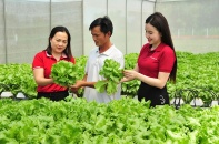Nguồn vốn Agribank thúc đẩy kinh tế tư nhân phát huy vai trò trụ cột quan trọng của nền kinh tế