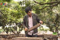 Hành trình kết nối xanh: Nghề đặc biệt mùa hoa nhãn ở Hưng Yên