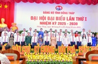 Đồng Tháp phấn đấu tăng trưởng GRDP bình quân 5 năm đạt 9%/năm