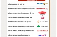 Công bố Top 10 Doanh nghiệp tạo giá trị hàng đầu Việt Nam 2025 - Ngành Bảo hiểm