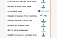 Công bố Top 10 Doanh nghiệp tạo giá trị hàng đầu Việt Nam 2025 ngành Năng lượng - Dầu khí