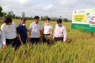 PVCFC đại hội cổ đông bất thường, hoạt động theo mô hình tổng công ty