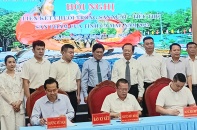 Giải pháp để cua Cà Mau xuất khẩu vào thị trường chính ngạch