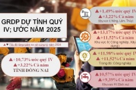 Đồng Nai bứt phá mạnh mẽ, GRDP năm 2025 vượt mục tiêu, khẳng định vai trò đầu tàu kinh tế của vùng và cả nước