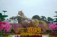 Công viên hoa xuân 152 Trần Phú mở cửa từ ngày 10/02/2026: Thêm điểm check-in cho người dân TP.HCM dịp đầu năm mới