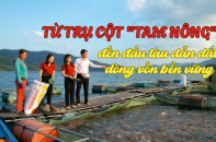 Từ trụ cột "Tam nông" đến đầu tàu dẫn dắt dòng vốn bền vững  