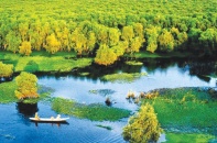 Đồng Tháp đặt mục tiêu đón 8 triệu lượt du khách trong năm nay