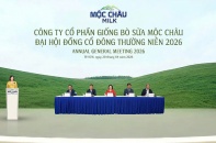 Mộc Châu Milk và triển vọng lợi nhuận năm 2026: Vững vàng nội lực, mở rộng dư địa tăng trưởng và đảm bảo quyền lợi cổ đông
