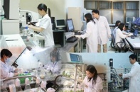 Sửa đổi, thay thế và bãi bỏ thủ tục hành chính trong lĩnh vực sở hữu trí tuệ