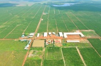 Công ty Cổ phần Đầu tư Quốc tế Hoàng Anh Gia Lai thông báo chào bán 18.800.000 cổ phiếu lần đầu ra công chúng (Kỳ 3)