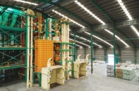 Greenfeed duy trì hiệu quả kinh doanh, tiếp tục củng cố nền tảng tài chính