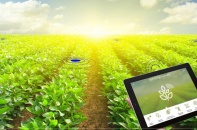 Chuyển đổi số để nông nghiệp tiếp tục vai trò “trụ đỡ”