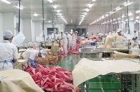 Tìm nguồn tiền mới qua phát hành cổ phiếu