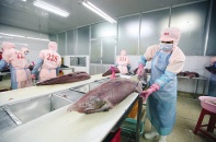 Cải thiện môi trường kinh doanh: Chỉ cần công chức thay đổi, doanh nghiệp sẽ đỡ khổ