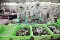 Kinh tế tiếp tục có dấu hiệu phục hồi