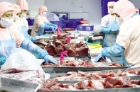 Mỗi lần sửa văn bản, danh mục hàng hóa kiểm tra chuyên ngành lại... dài hơn