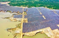 Chạy theo gỡ rối cho điện mặt trời 