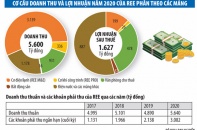 Dò biến số cho các biến động tài chính của REE