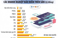 Công ty bảo hiểm xoay xở thời tiền rẻ