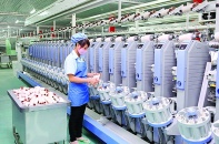 Nửa mừng nửa lo với biến động tài chính của Dệt may Thành Công