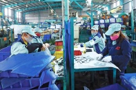 Việt Nam đón đầu “cơn gió tăng trưởng”