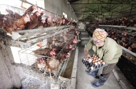 Vốn giảm nghèo trên hành trình đến với Bắc Ninh