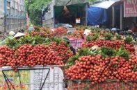 Vải thiều, xoài, mận tấp nập lên sàn: Chuyển đổi số hóa trong tiêu thụ nông sản