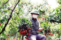 Báo chí hỗ trợ doanh nghiệp “khám phá” FTA