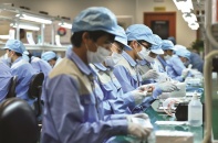 Kinh tế Việt Nam: Hồi phục và thách thức phát triển