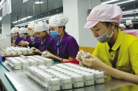 Doanh nghiệp FDI cũng phải thở bình “ô xy”