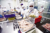 Đứt gãy chuỗi cung ứng không chỉ là nguy cơ